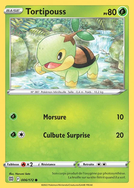 006/172 Tortipouss - Image 2