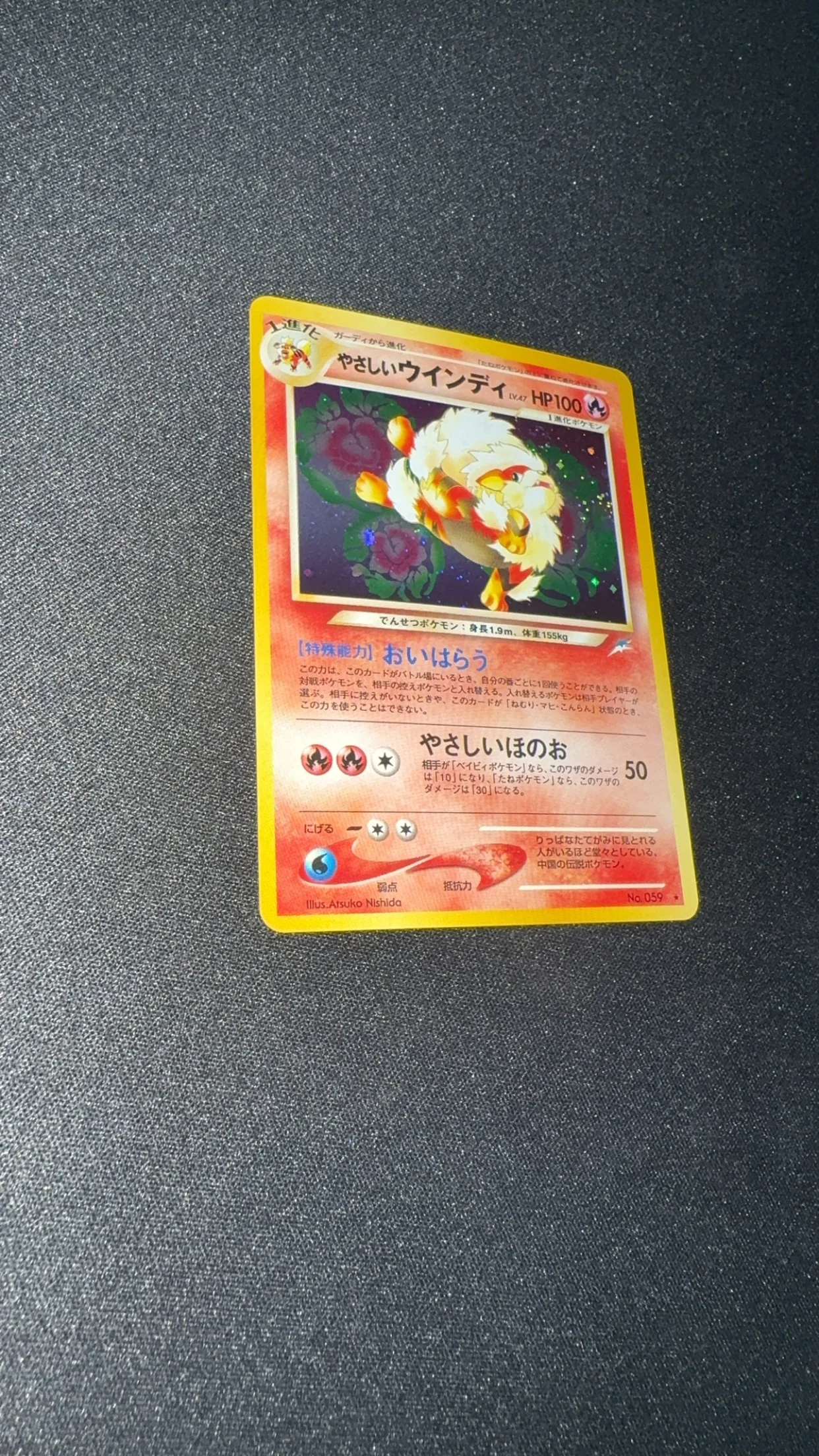 059 Light Arcanine - Image 2