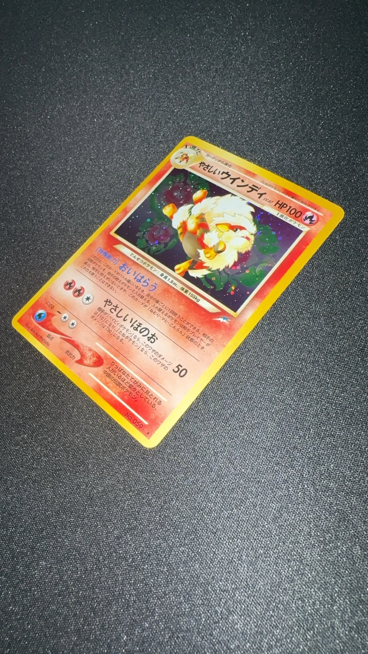 059 Light Arcanine - Image 3