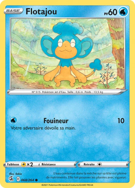 068/264 Flotajou