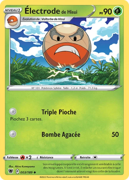003/189 Electrode de Hisui